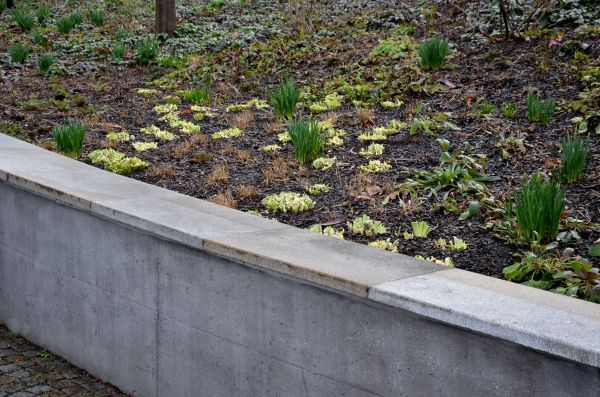 Concrete Wall Construction in Everett