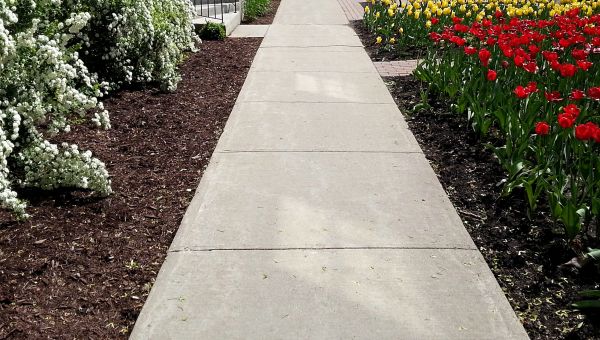 Cement Sidewalk Installation in Everett