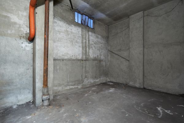 Basement Wall Construction in Everett