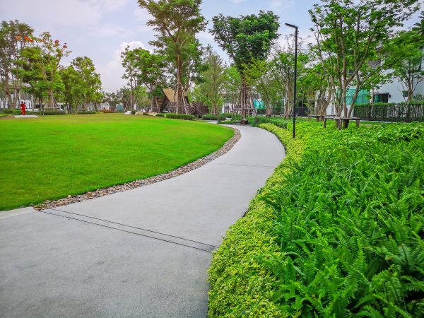 Cement Walkway Service in Everett