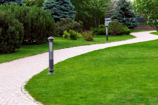 Backyard Sidewalk Installation in Everett