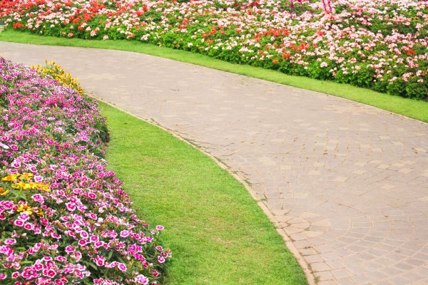 Concrete Walkway Service in Everett
